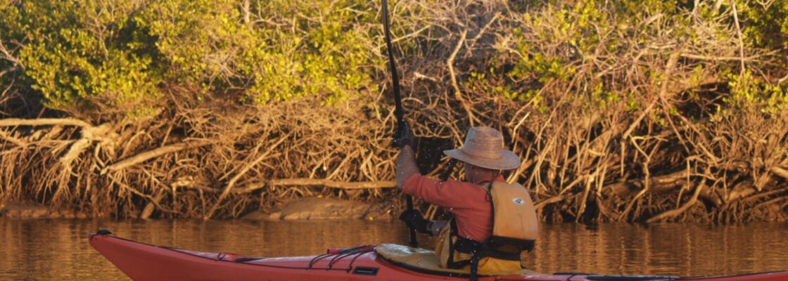 Excursión de un día en kayak / Kayak day tour