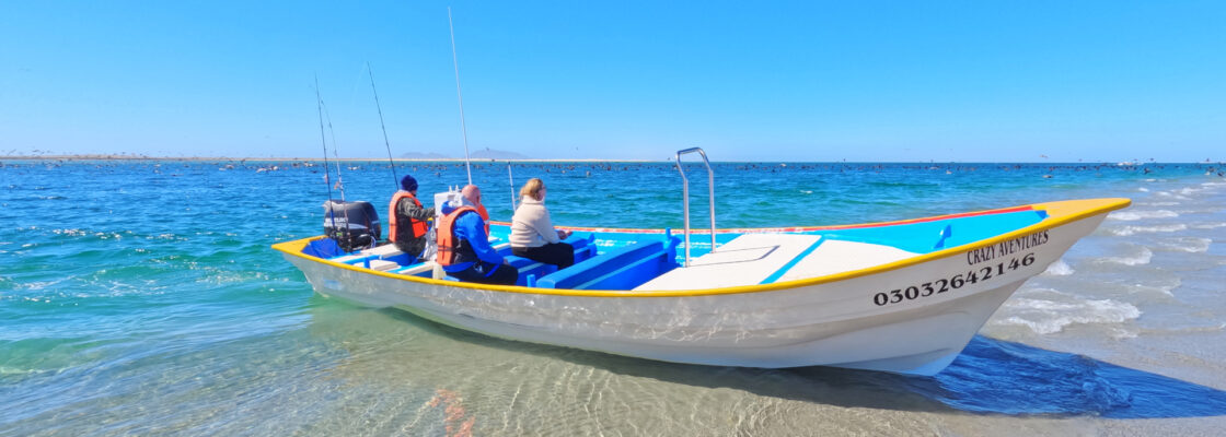 Campamento Coyote Magdalena Bay, Baja México