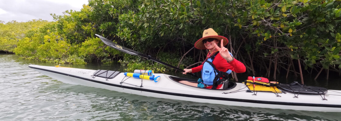 Kayaking in the Mangroves