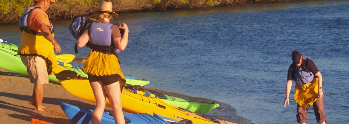 Mangroves and desert, San Carlos Kayaking