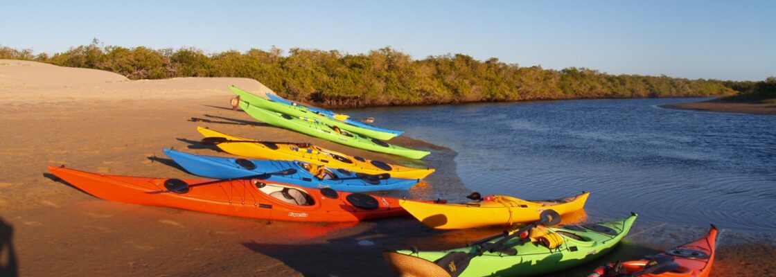 Nuestra flota de kayaks Capella