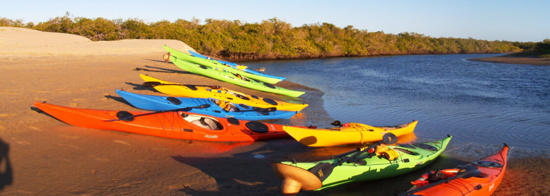 Our fleet of kayaks Capella San Carlos Kayaks Magdalena Bay