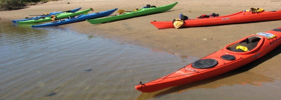 san-carlos-baja-kayak-tours