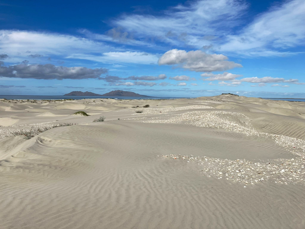 San Carlos Baja Kayak and Tours