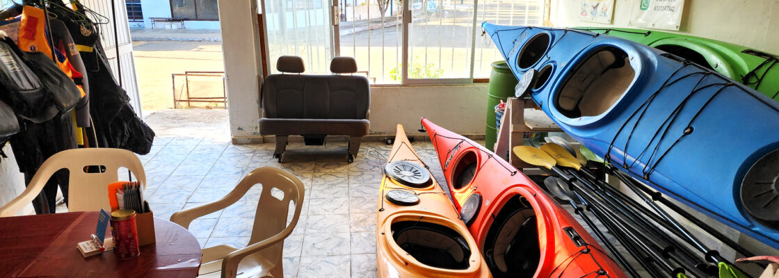 san-carlos-kayaks-equipment-rentals-2